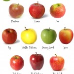 How many varieties of Apple are there?