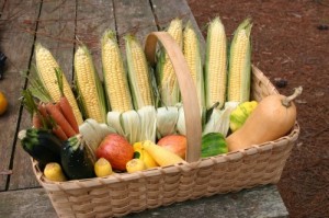 basket-of-vegetables-500x332