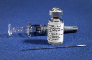 smallpox-vaccination