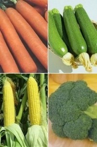 summer-vegetable-garden-collection