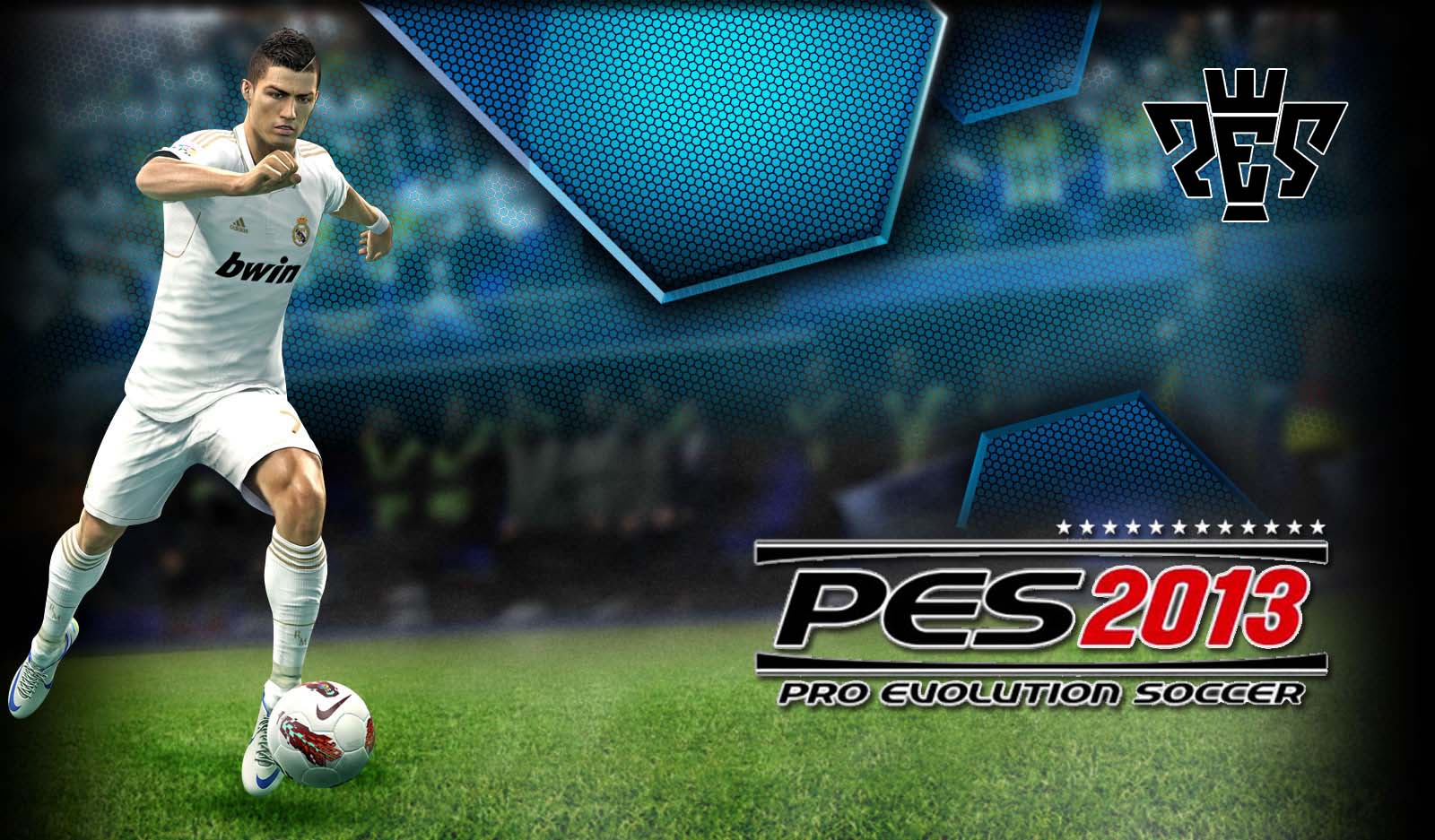 pes2013