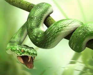 3d-Animals-Snake