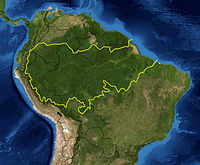 Amazon_rainforest (1)